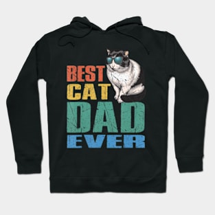 Best Cat Dad Ever Cat Daddy Shirts Hoodie